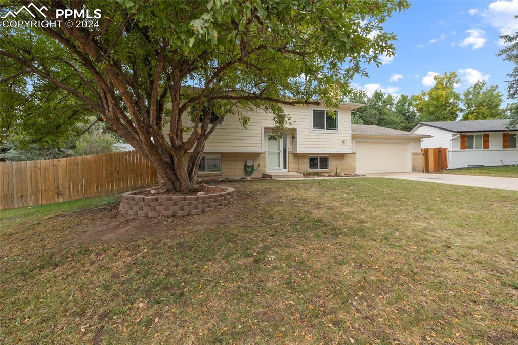 front view of a house with a large tree