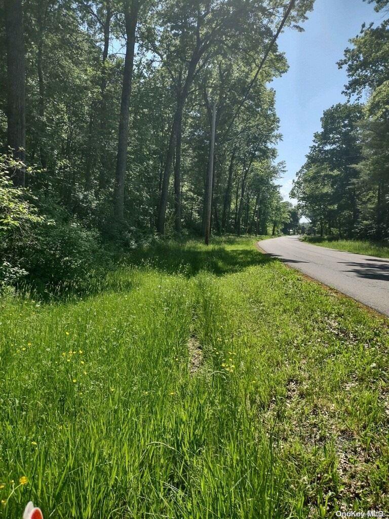 a view of a lush green space