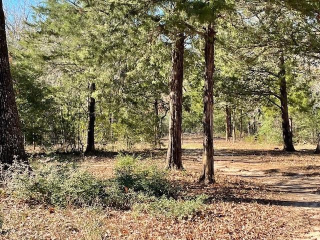 a view of outdoor space with trees