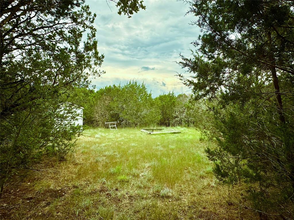 a view of a yard with an trees