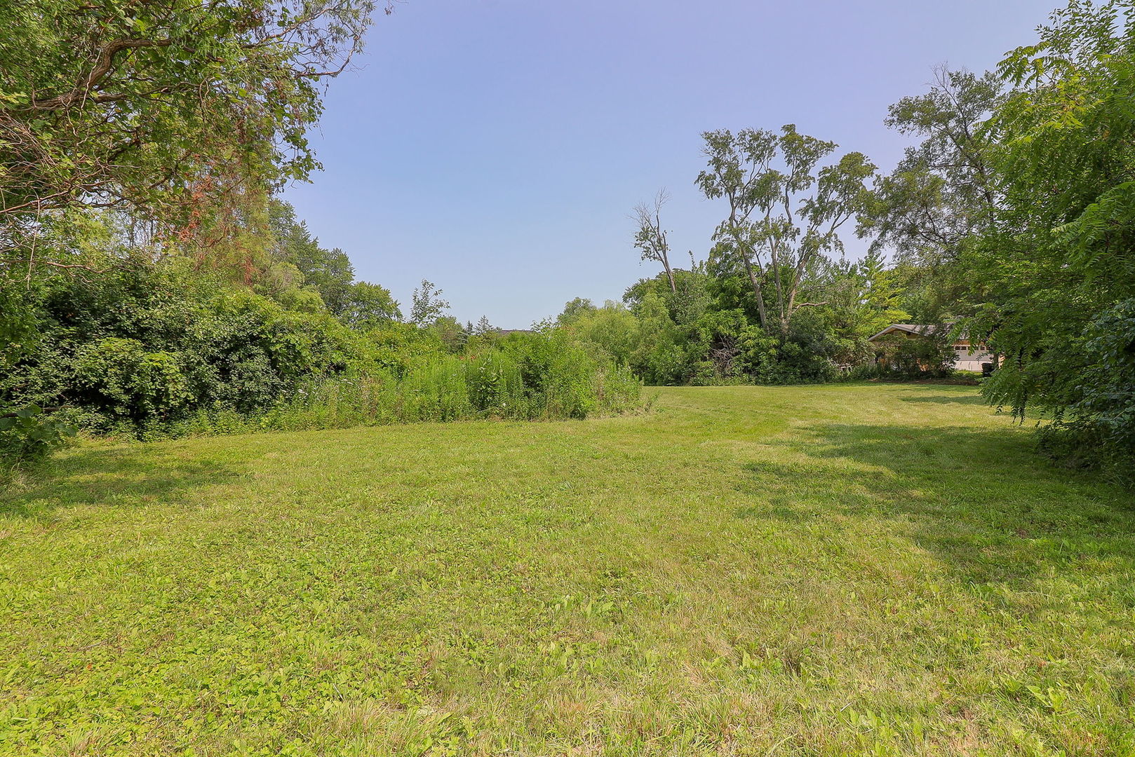 a view of a field with an trees