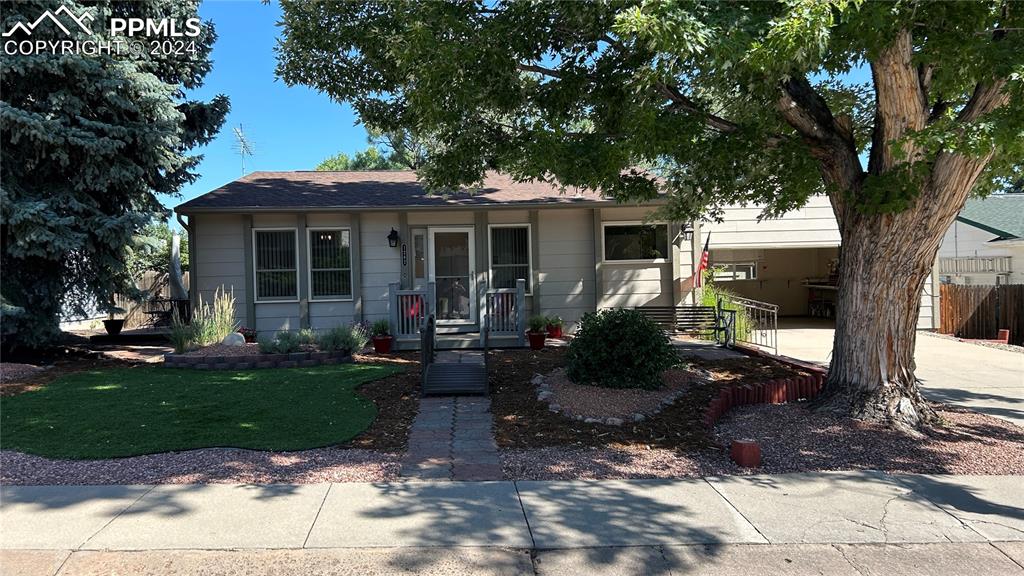 Low maintenance Front Yard with Mature Trees