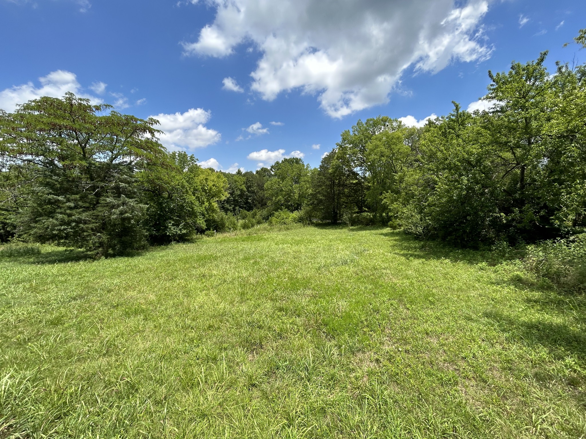 a view of a green yard