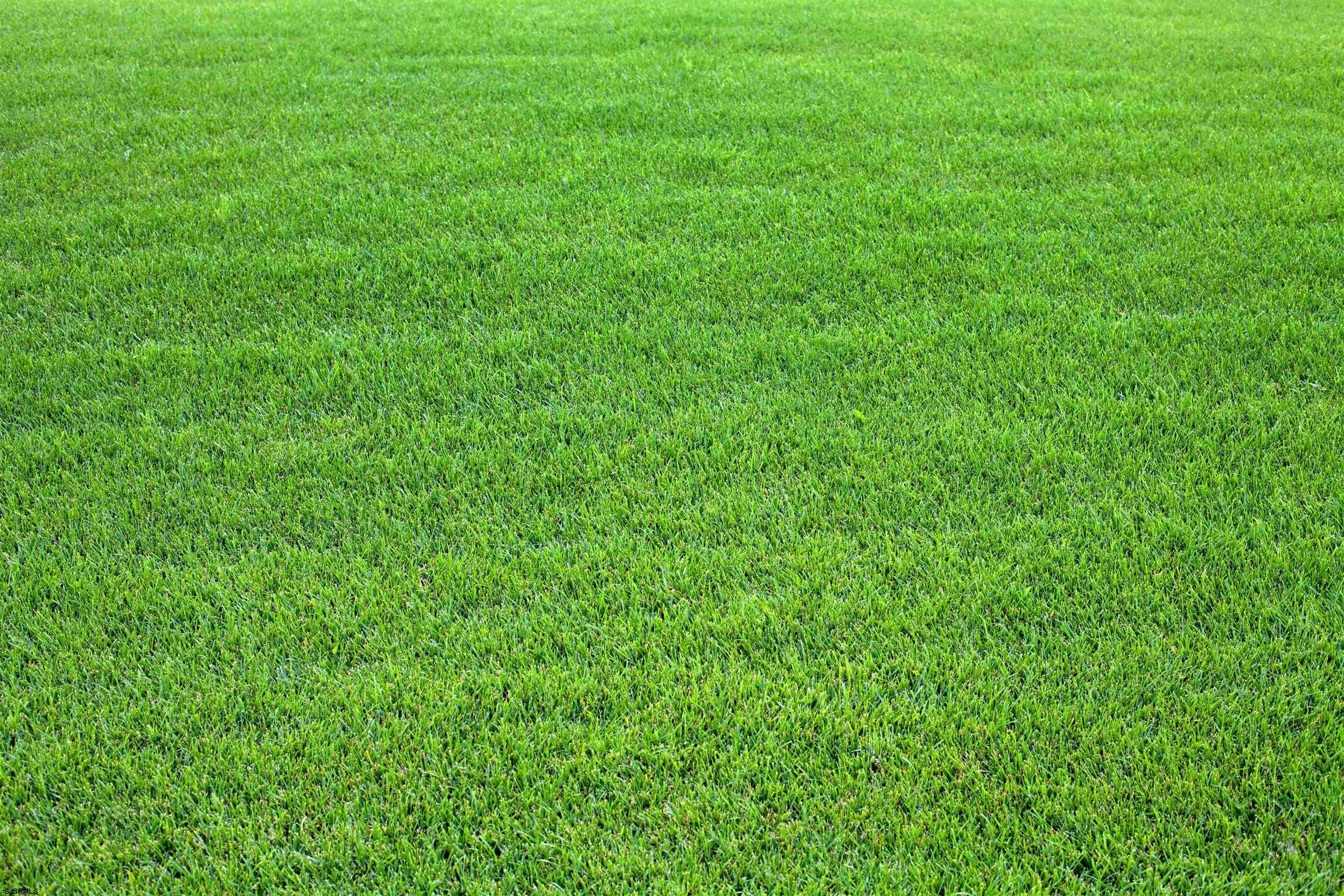 a view of a green field