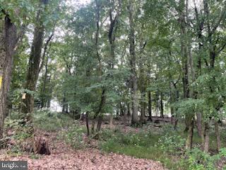 a view of outdoor space and tree