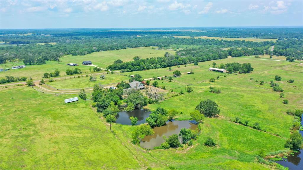 a view of a lush green space