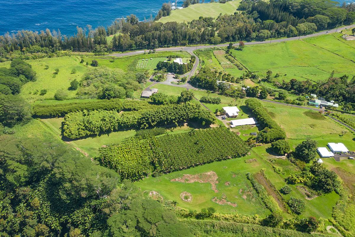 What a great area!  Rare to find such a manageable size parcel offered just outside of Honomu.