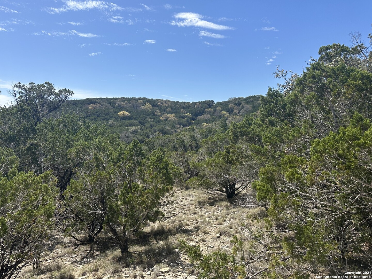 a view of a dry yard with mountains in the background