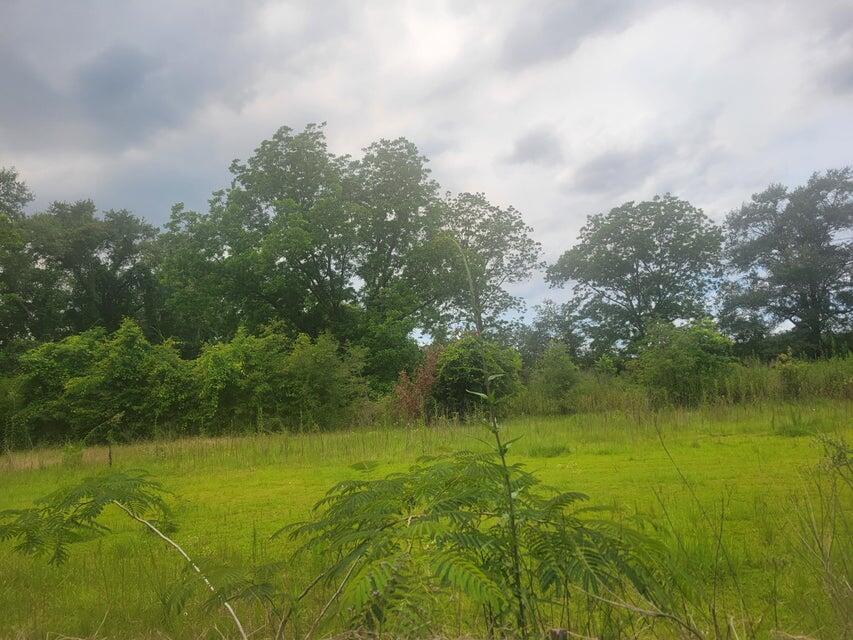 a view of a lake from a yard