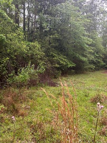 $20,000 | 0 Camilla Drive | Rayburn Country