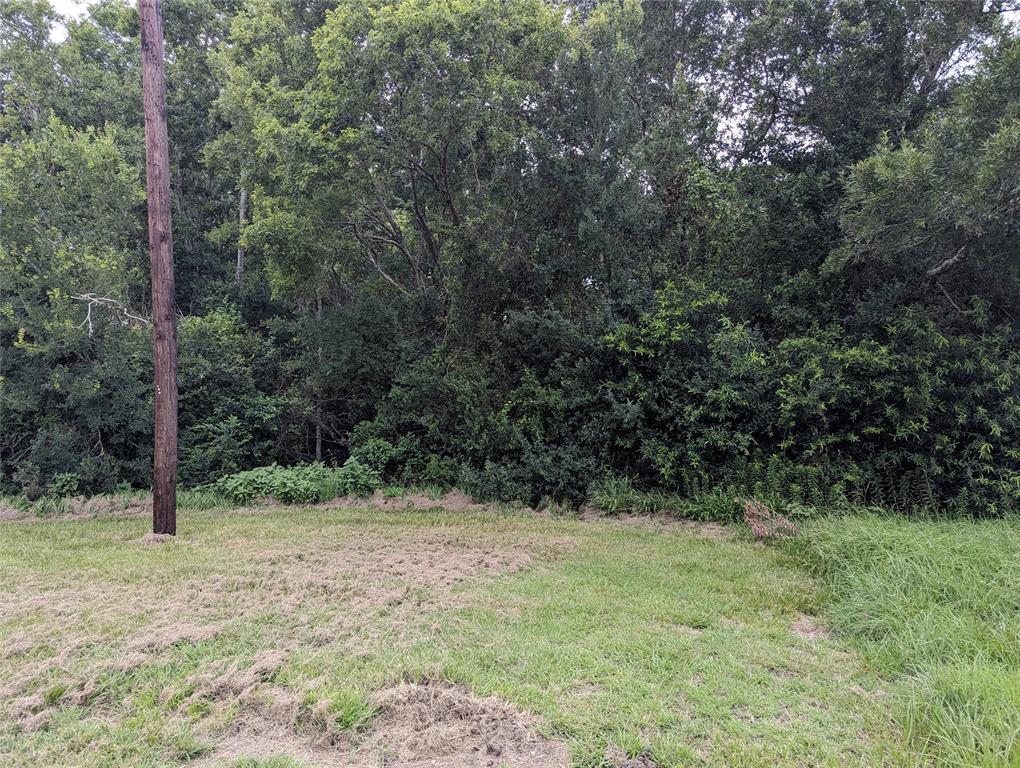 a view of backyard with green space