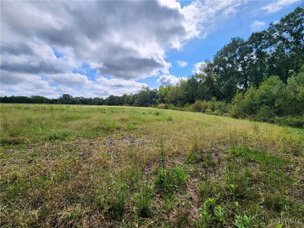 a view of a field with an trees and sky view