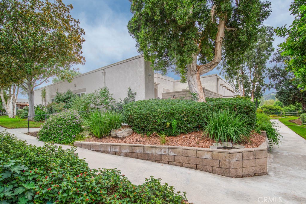 an outdoor view with plants