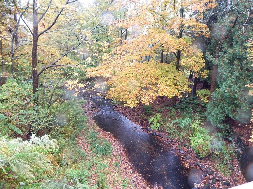 Stream on left side of property as you enter property