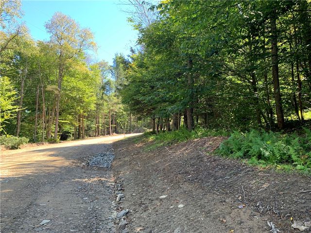 $24,900 | Lot 1 Back Road | Homer Township - Potter County