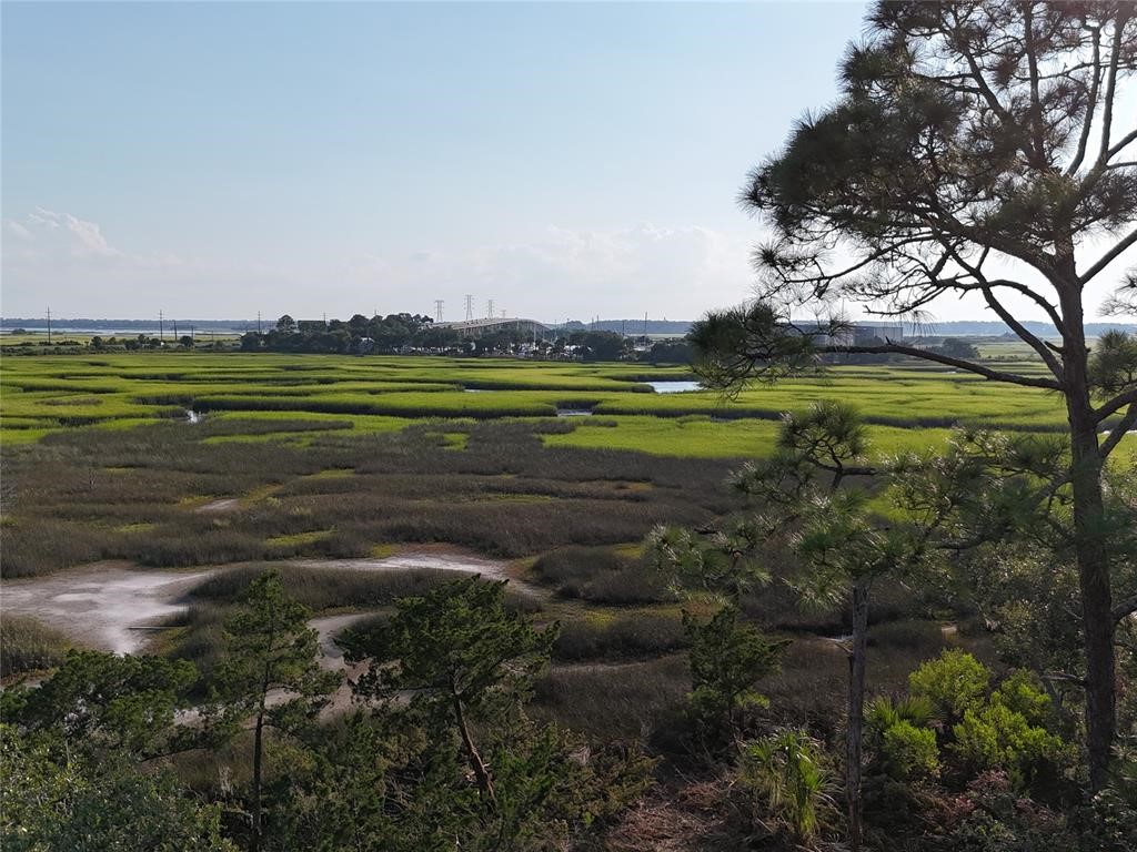 a view of a golf course with a lake