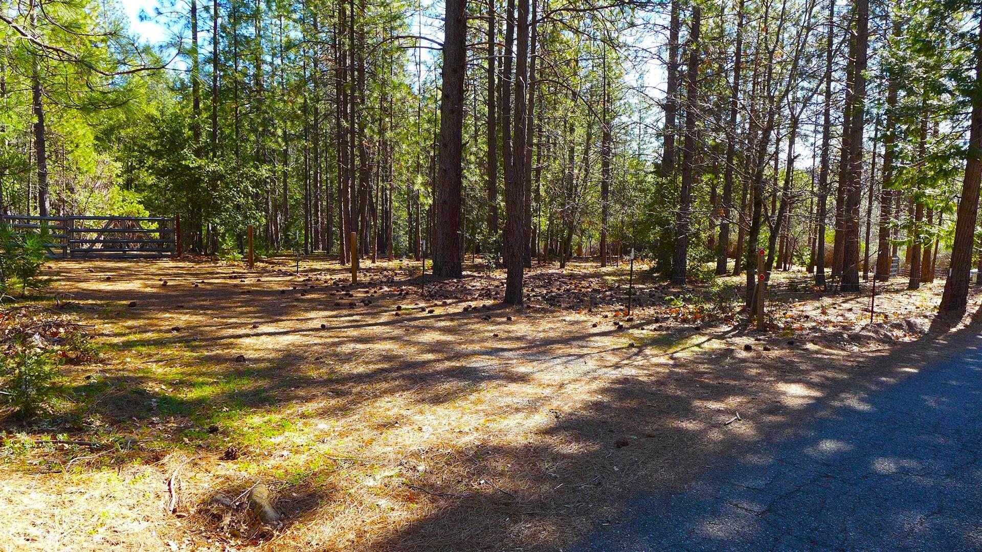 a view of outdoor space with trees