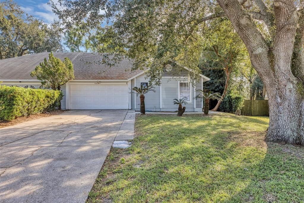 a view of a house with a yard and large tree