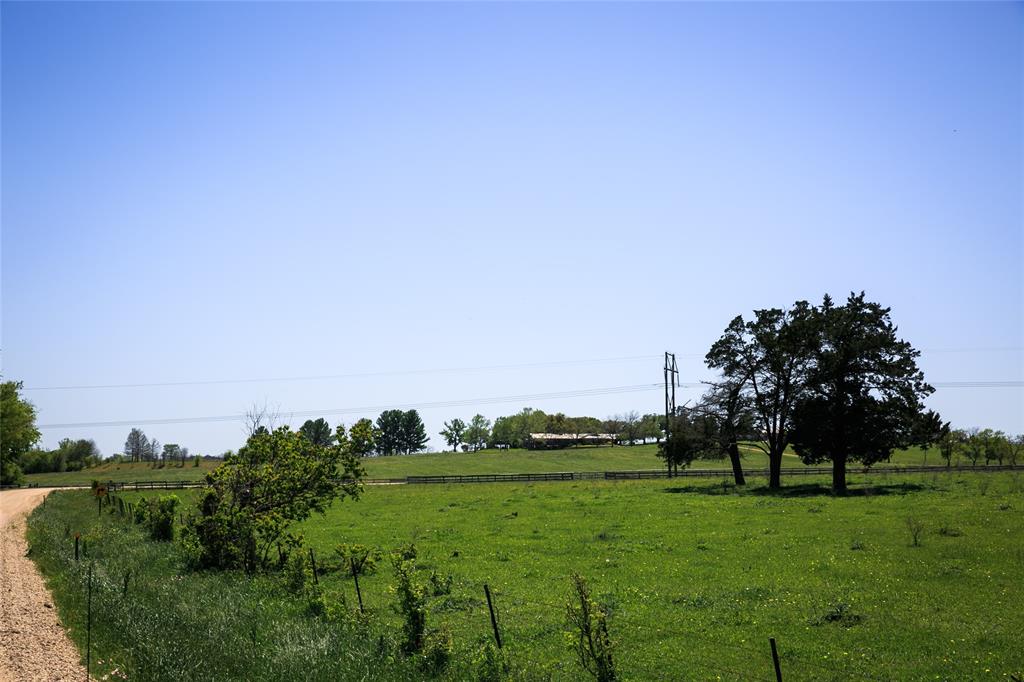 a view of a grassy field with trees