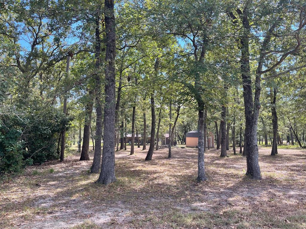 a view of outdoor space with lots of trees