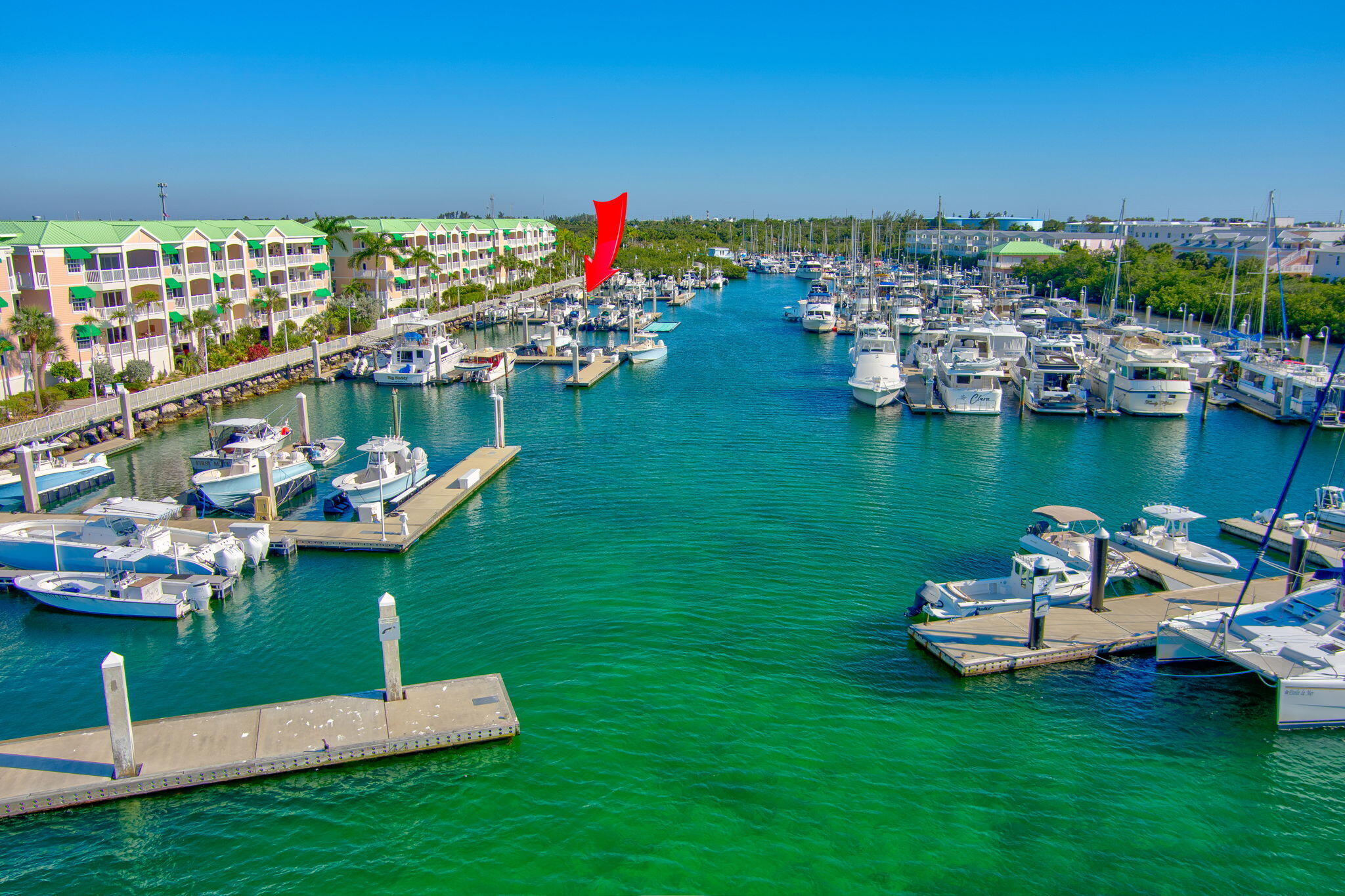 Sunset Marina Grouper 1