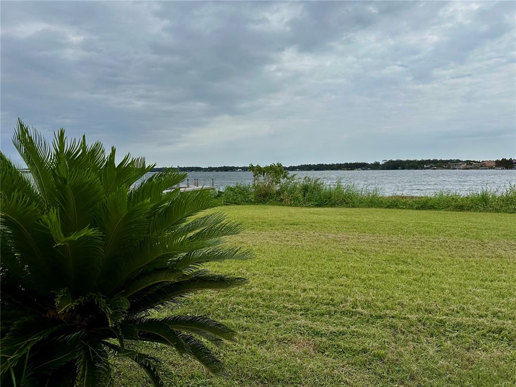 a view of a lake from a yard