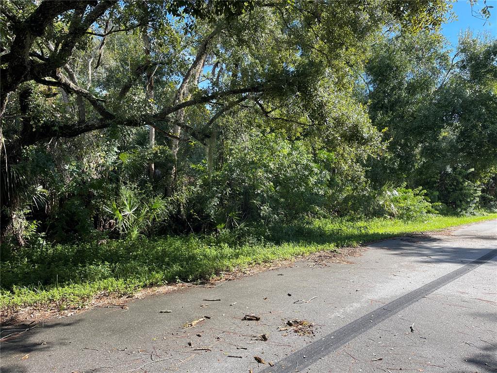 a view of a road with a trees