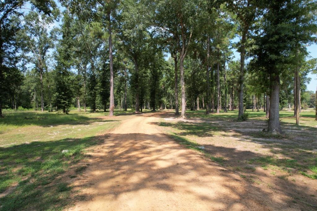 a view of outdoor space with trees all around