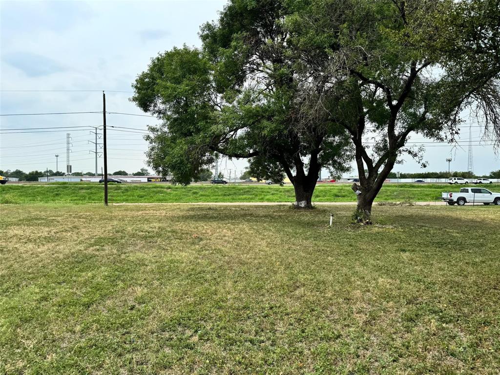 a view of a field with a tree