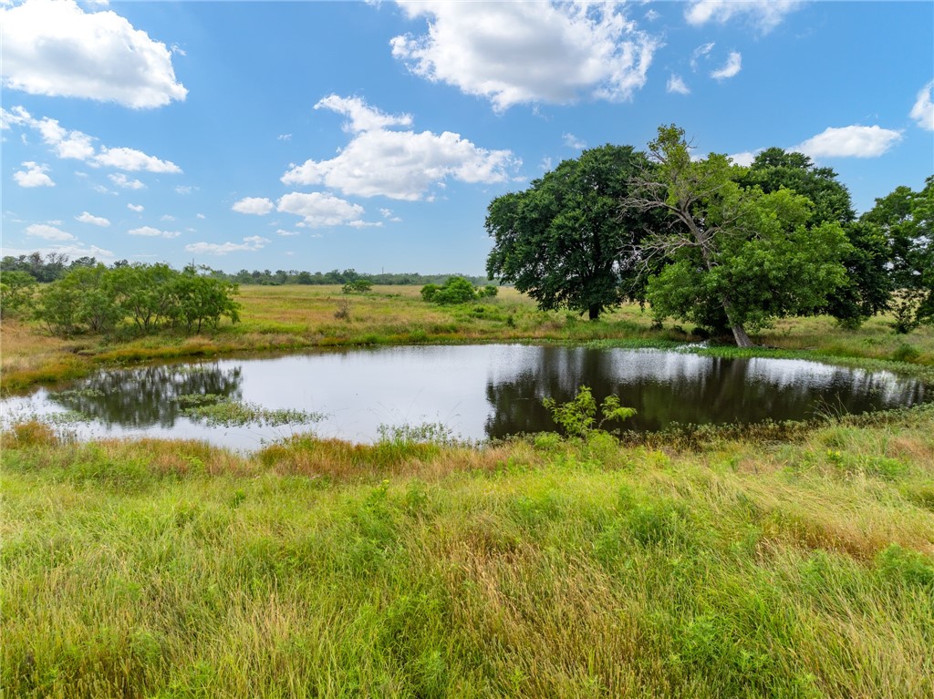 a view of a lake from a yard