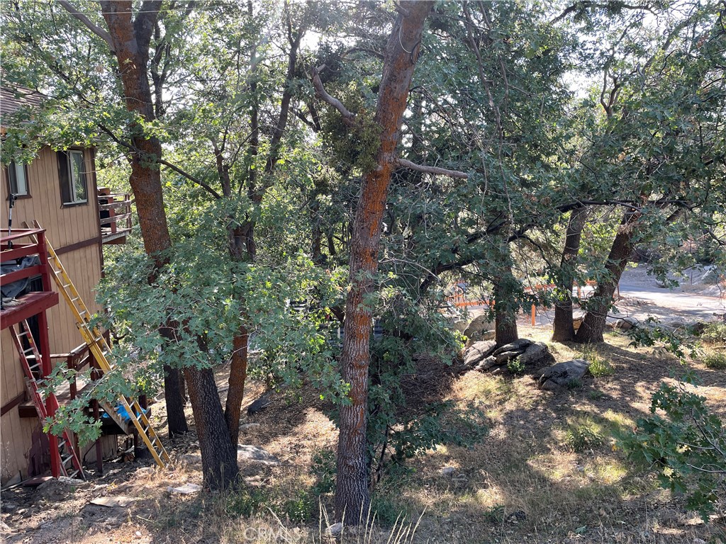 a view of a tree