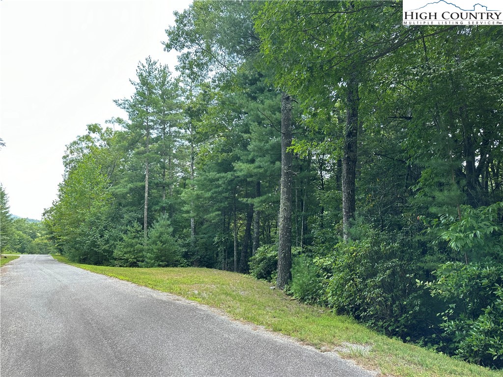 a view of a field with trees in the background