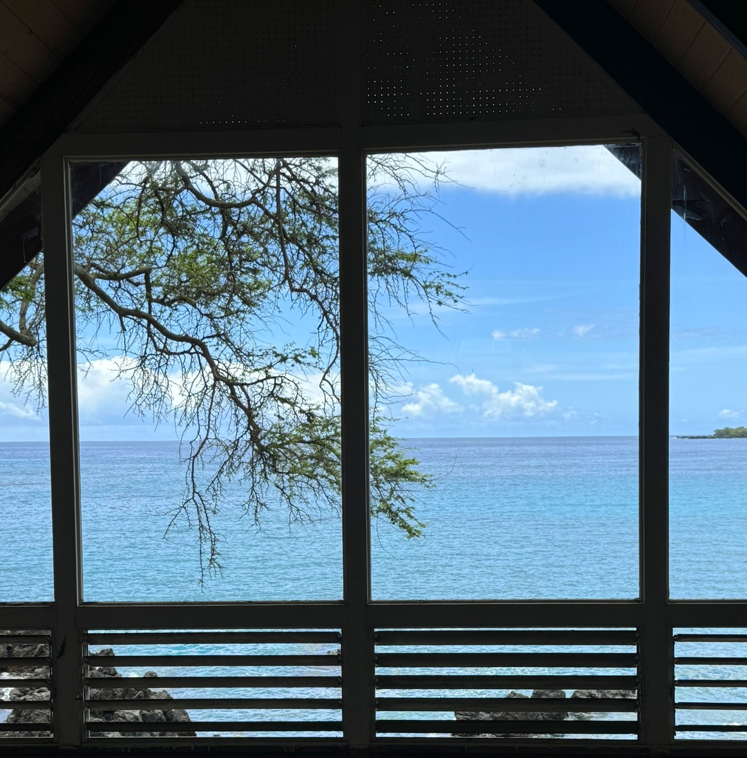 a view of a floor to ceiling window with wooden fence