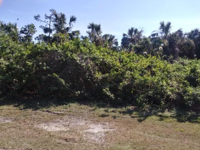 a view of a yard with plants and a bench