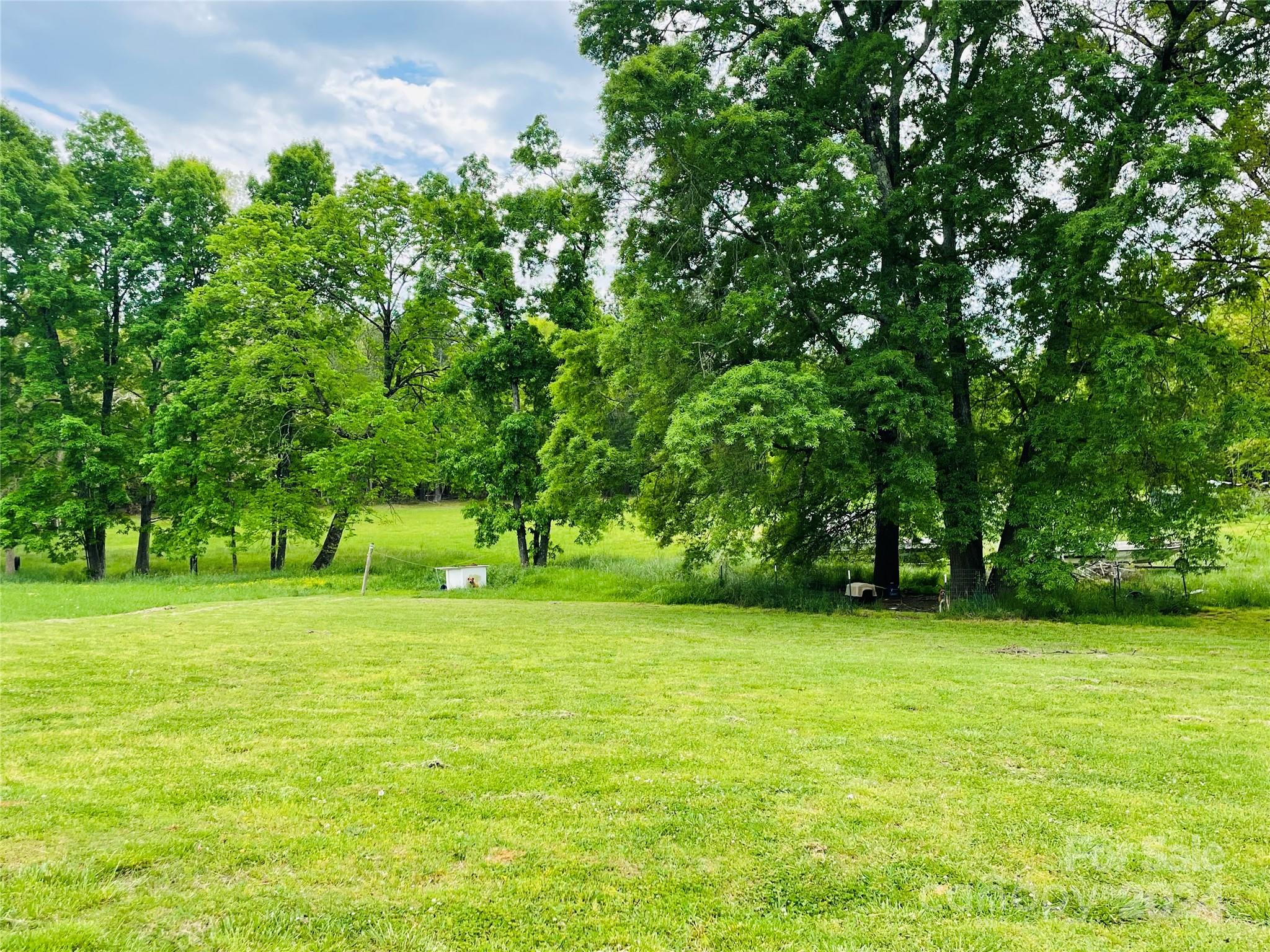 a view of a field with trees in the background