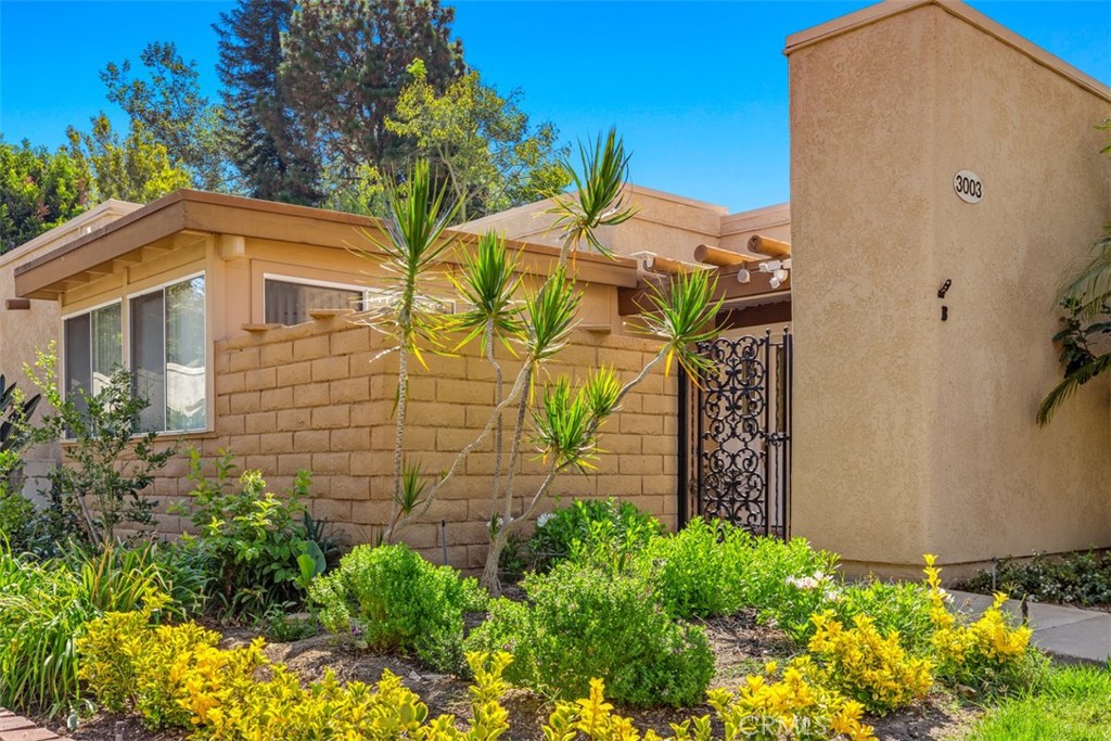 a view of a back yard of the house