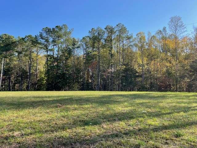 a view of a field with trees in the background