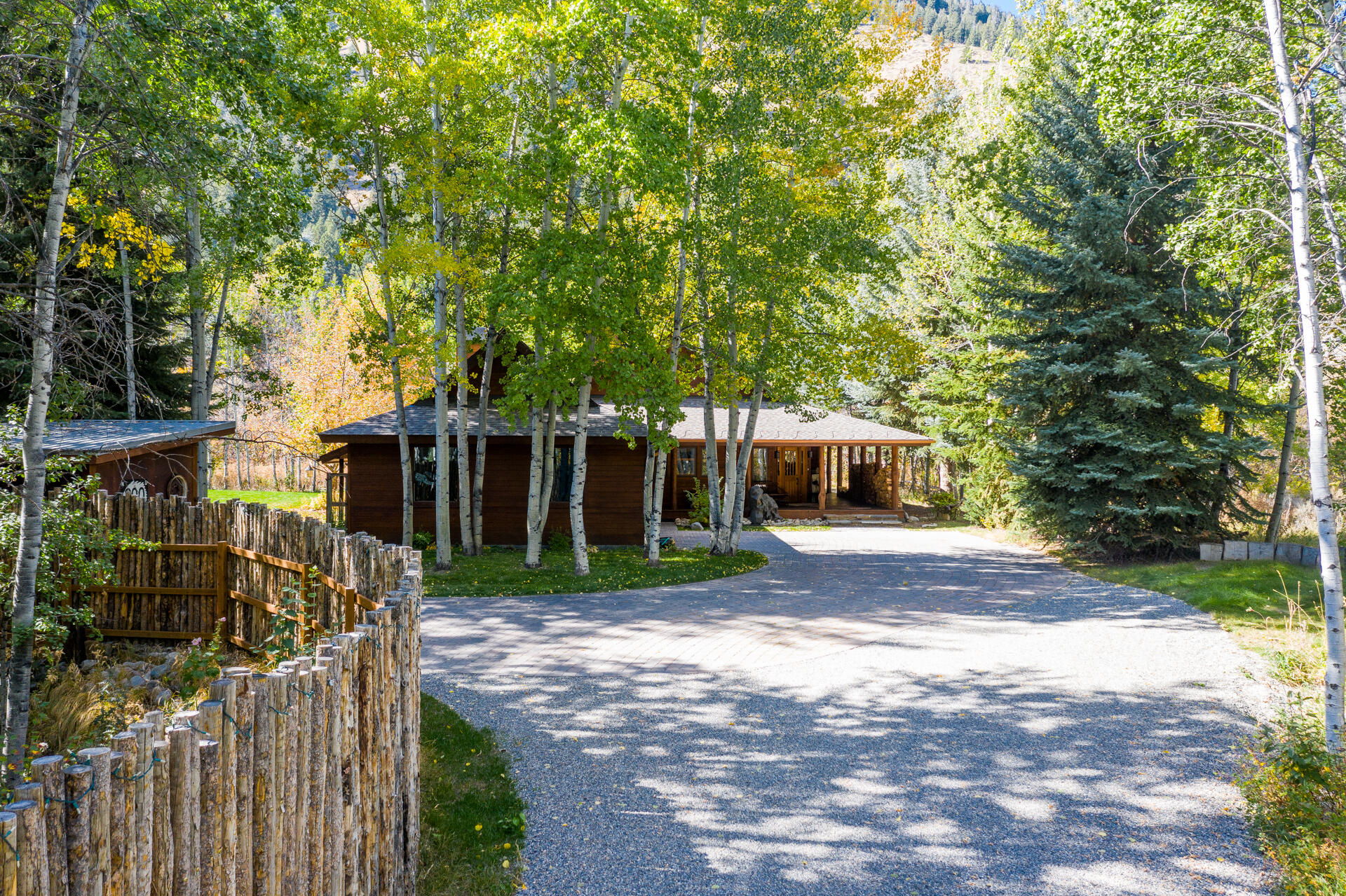 Surrounded by aspens