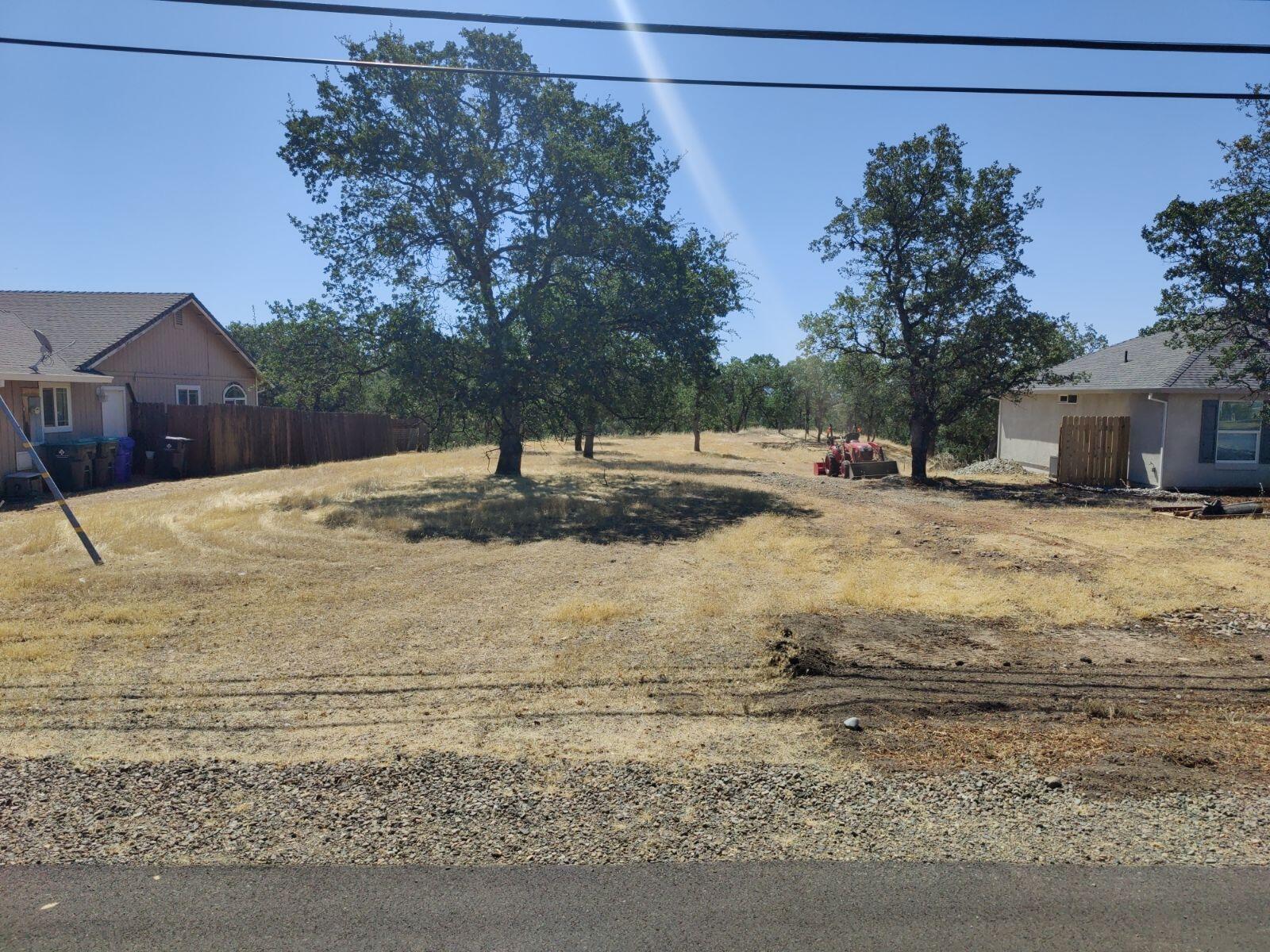 a view of a yard with a tree