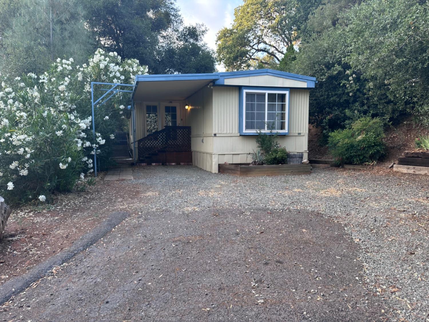 a view of a house with a yard and large tree