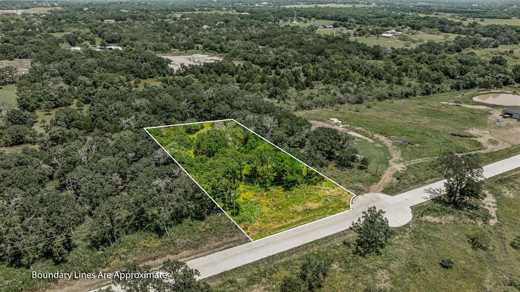 a view of a forest with a small yard