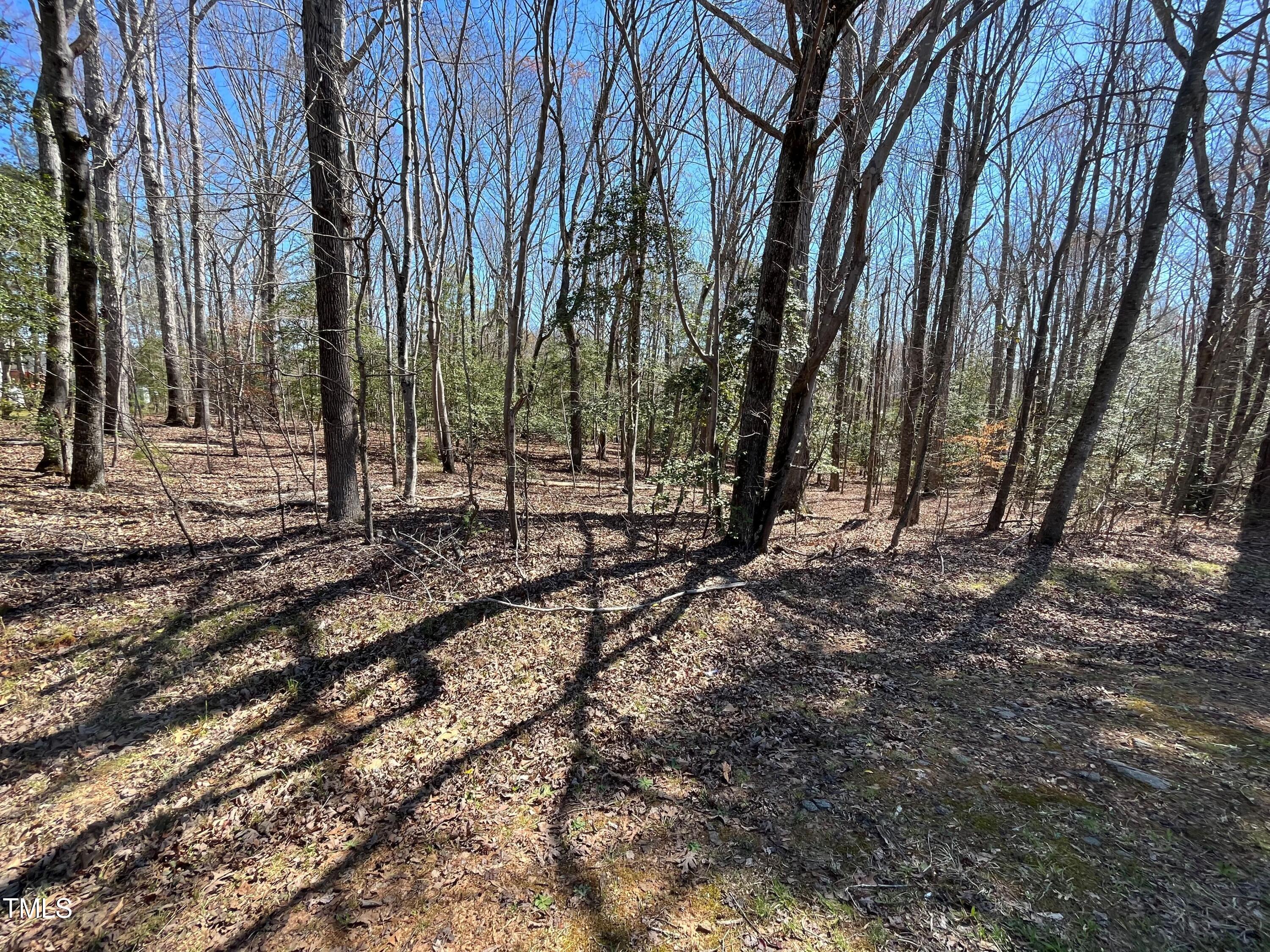 a view of a yard with lots of trees