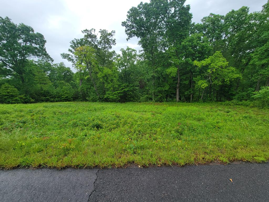 a view of a lush green space