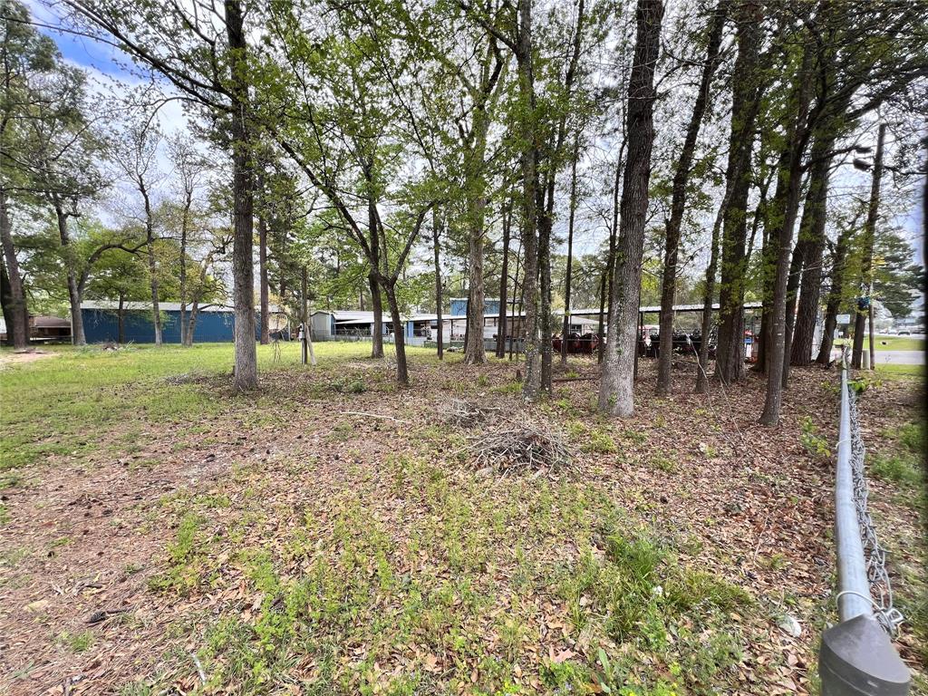 a view of a yard with a tree