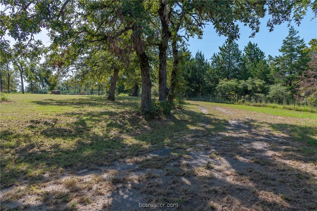 a view of outdoor space with trees all around