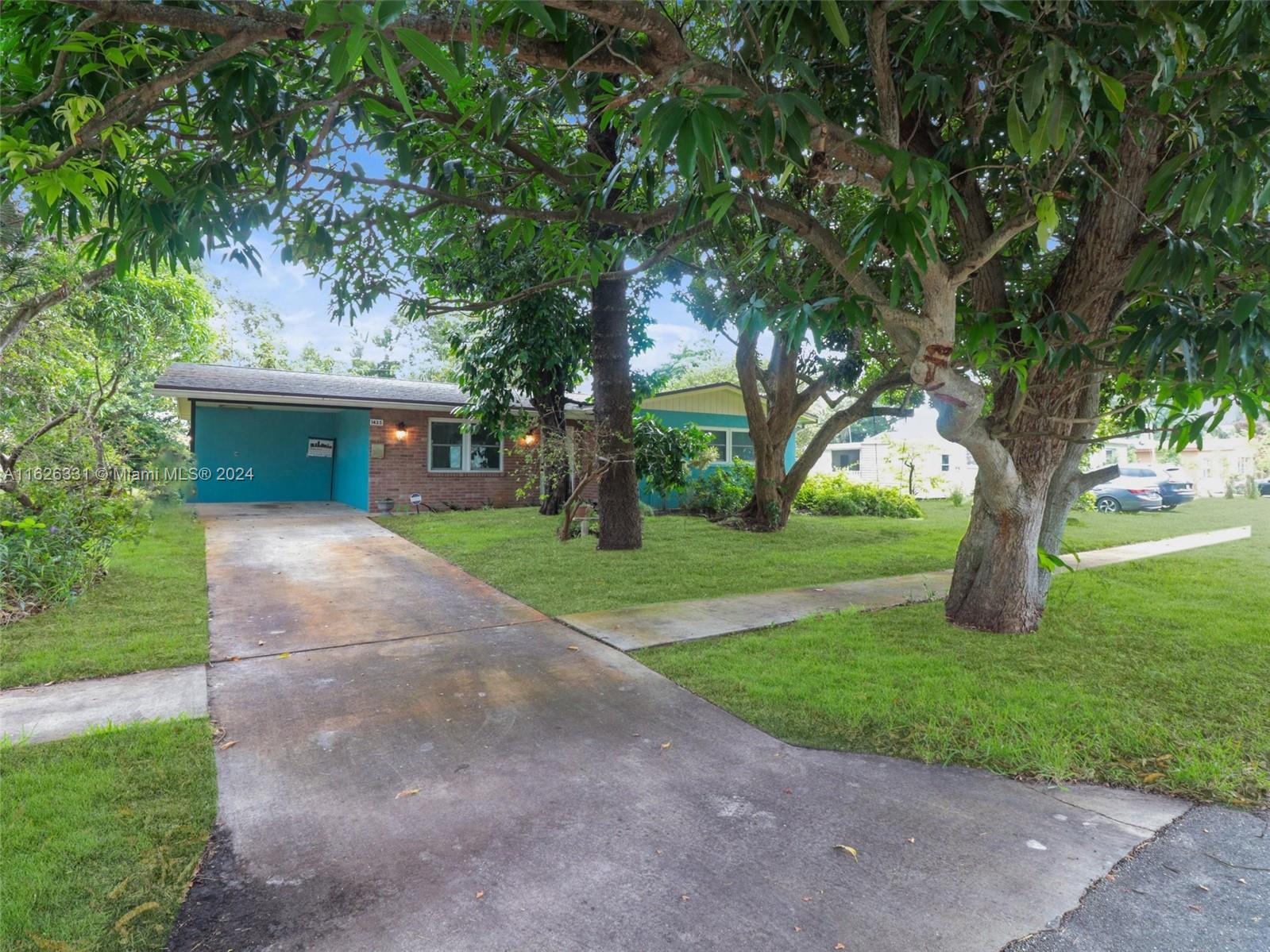 a view of a yard with plants and a large tree