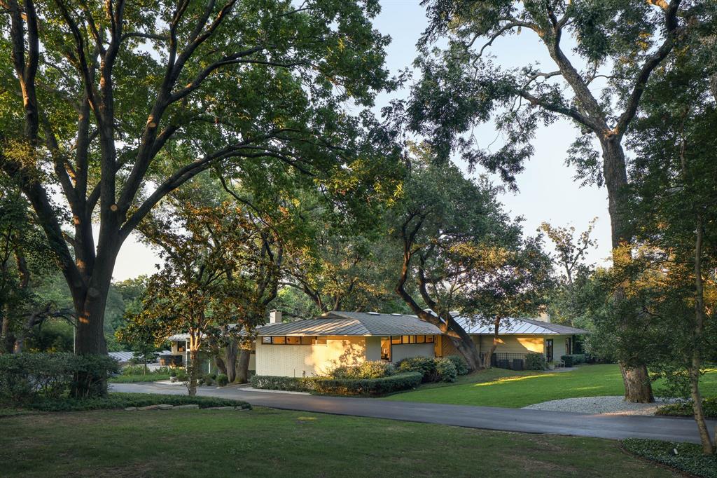 a view of a park with large trees