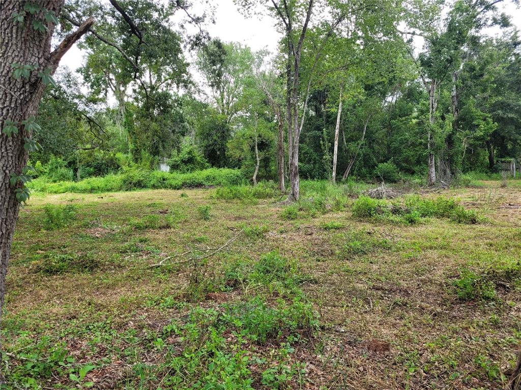 a view of outdoor space with trees all around