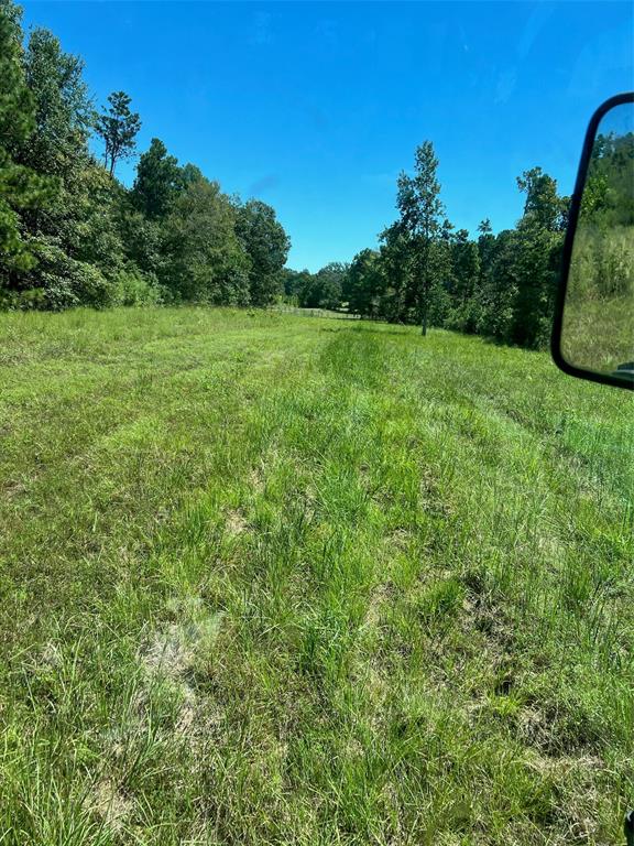 a view of a field with a trees in the background