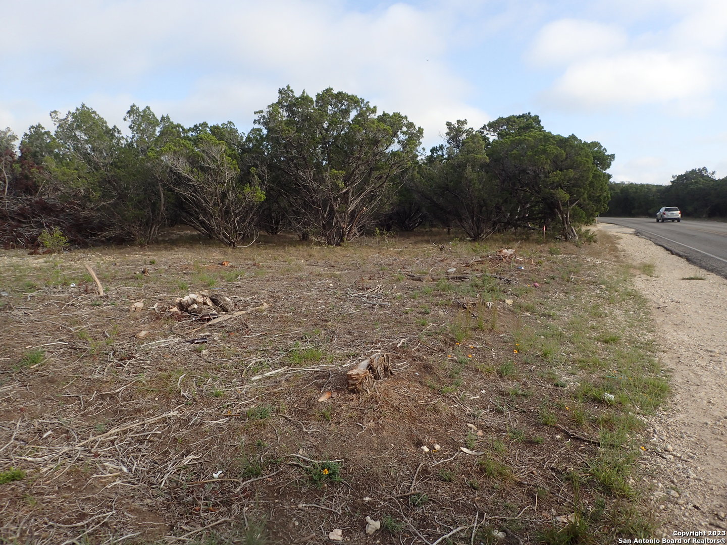 a view of a field with trees in the background